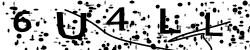 Enter this code in the box