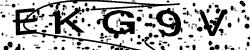 Enter this code in the box