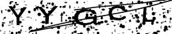 Enter this code in the box