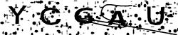 Enter this code in the box